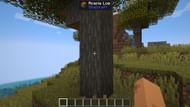 The Minecraft Jade Mod can help you identify all kinds of blocks and items in-game (Image via Mojang Studios || Curseforge/@Snownee)